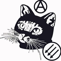 Underword cat (Acat)