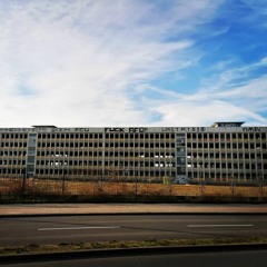 hannemchl