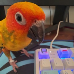 pneumonoultramicroscopicsilicovolcanoconiosis