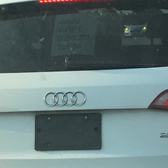 datboicharlrs