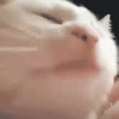 George Christophidis