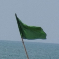 Gorgi