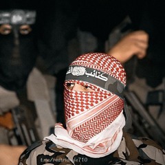 mo2men 7716