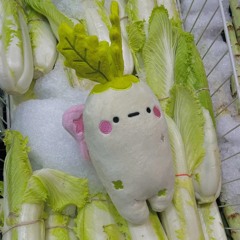 DAIKON