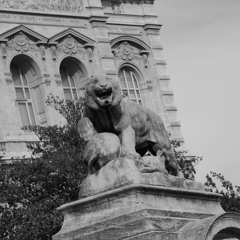 CORDIAL / Ash la cendre