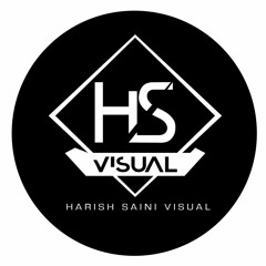 HS Visual