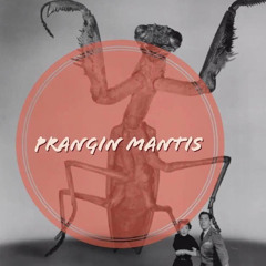 Prangin’ Mantis