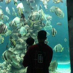 Đào Tấn Cường