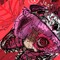 ᴶᴶᴶᵃᵈᵉ-ˢʰ³ᵈ