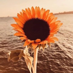 Neama Mohamed🌻