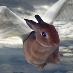 天使うさぎ