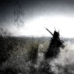 stamb8