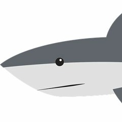 Wer hat Angst vorm weißen Hai