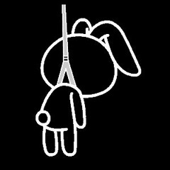 patch cable
