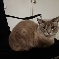 Rubdubbutt