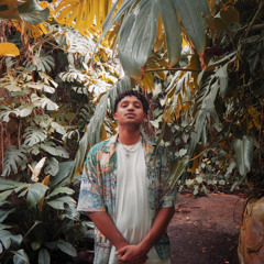 rainxo