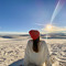 ariadne_711