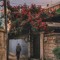 Reham Mahmoud