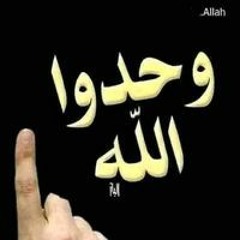 Mahmoud Mohammed