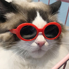 mimi<33