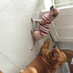 Joseph Patrick Garcia