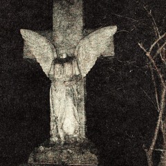 KARTEL ARCHIVE
