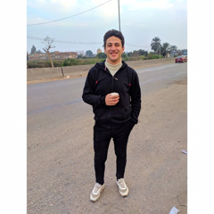 Mohamed Hamdy