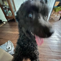 종환달려