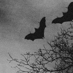 SPAZZZ THE BAT