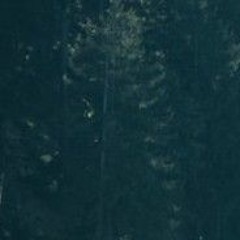M.