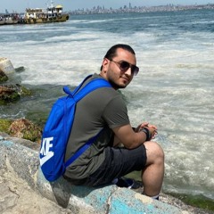 Alirzafarzaneh