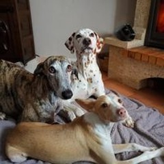 Soraya Espí Sánchez