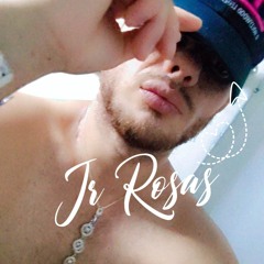 Leonardo Rosa's