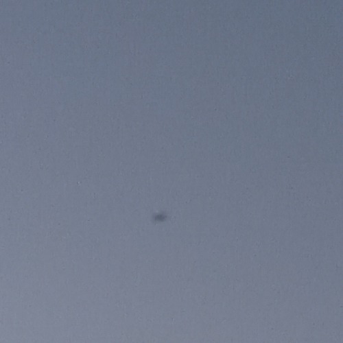 02 OVERMENTALXX  (feat.Dariel) (A SNIPPET FREESTYLE) - inuyasha prod. darko