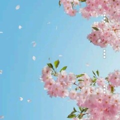 ® TM [. audio \\/. 99.87.0.1999.007(aA).