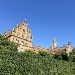 albert_4488