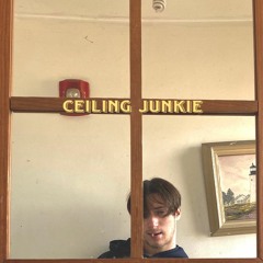 Ceiling Junkie