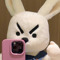 주콩2