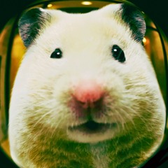 DeeTee