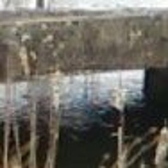 User 310190467