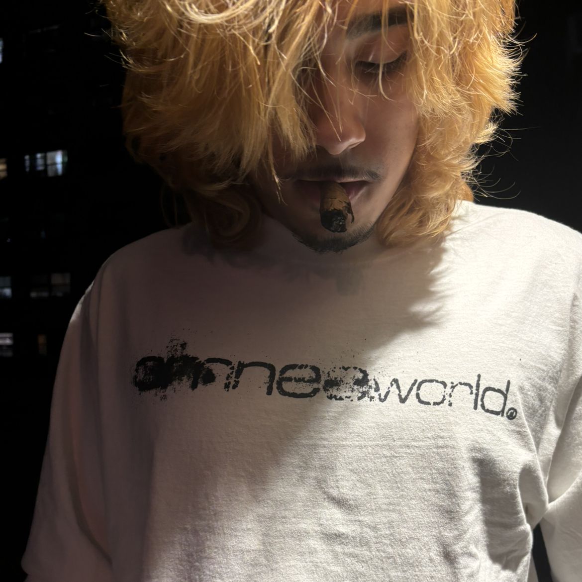 freemyswag