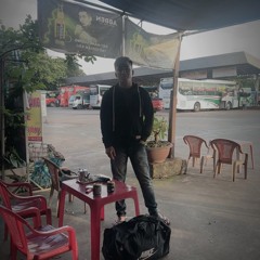 Mèo Cảnh