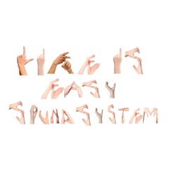 Life is Easy Sound System