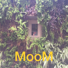 MooM (Gustavo Urbano)