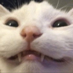 Jayleen hartman 🥴