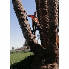 احمد