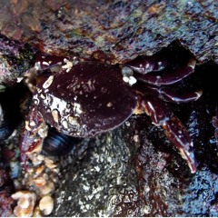 McB4- Extraviados (Khali Beatz)