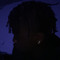 plvxboy