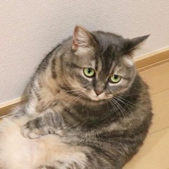 ︎︎︎ ︎︎︎ ︎︎︎ ︎︎︎ ︎︎︎ ︎︎︎ ︎︎︎ ︎︎︎ ︎︎︎ ︎︎︎ ︎︎︎ ︎︎︎︎︎︎