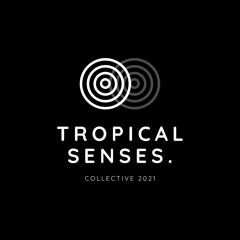 🌴Tropical Senses Records🌴